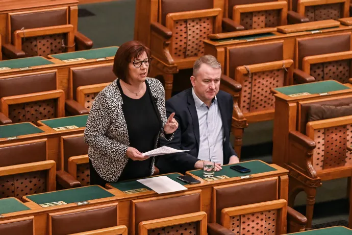 Gy. Németh Erzsébet – Fotó: Alföldi Dániel István / Telex