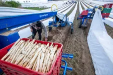 Tizenkét év alatt 60 milliárd eurót küldtek haza a külföldön dolgozó román vendégmunkások