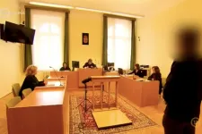 A kormány narratívájához igazítva, megvágva tűnt fel egy kormányközeli portálon a Kékfény archívumából törölt Szőlő utcai videó