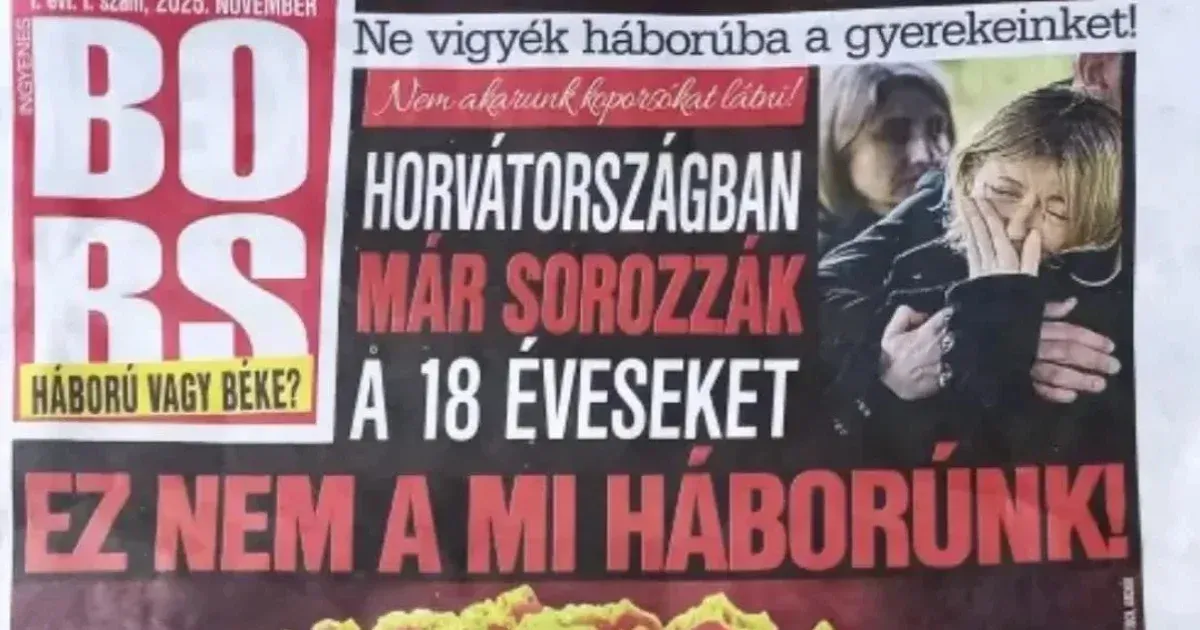 A Mediaworks szerint nem kaptak hivatalos, betiltásról szóló értesítést, ezért tovább terjesztik a Bors különszámát