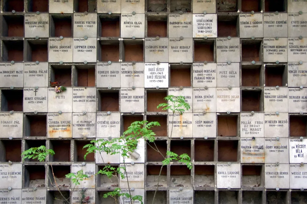 Egyre csökken a sírhelyek újraváltásának száma, kampányt indít a Budapesti Közművek – Forrás: Telex.hu