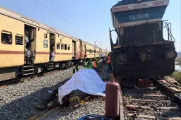 Hét elefántot gázolt el egy vonat Indiában