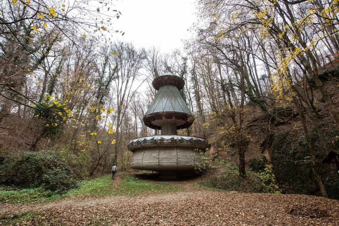 Gigantikus tulipán az erdei völgy mélyén