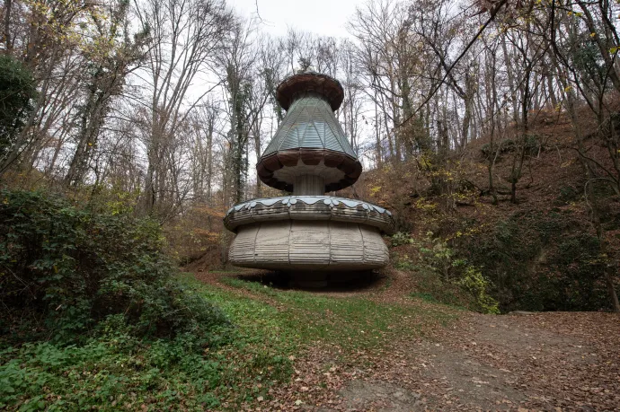 Gigantikus tulipán az erdei völgy mélyén