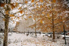 Az enyhe advent után fehér karácsony várható Erdélyben