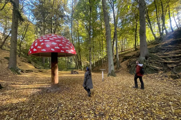 A középkori lövészárok, az Óriásfej és a Béka, a Galóca-pihenő és a pácolt hermelín – Fotó: Tenczer Gábor / Telex