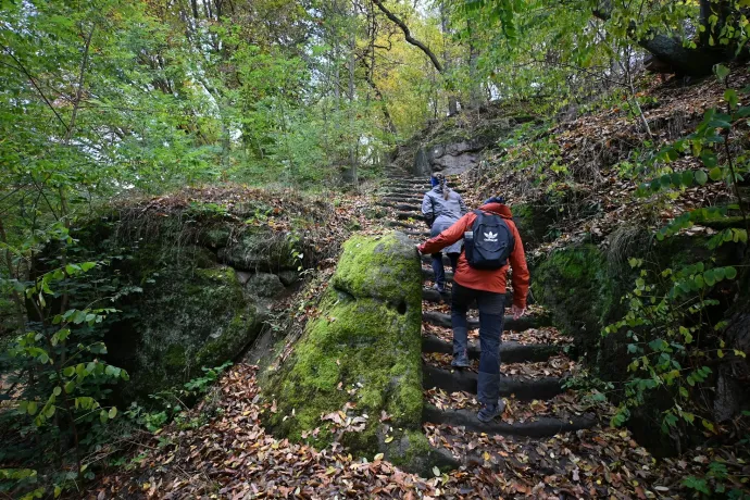 A startlépcső, a Gorilla, szűkület és tág tér – Fotó: Tenczer Gábor / Telex