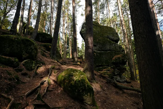 A startlépcső, a Gorilla, szűkület és tág tér – Fotó: Tenczer Gábor / Telex