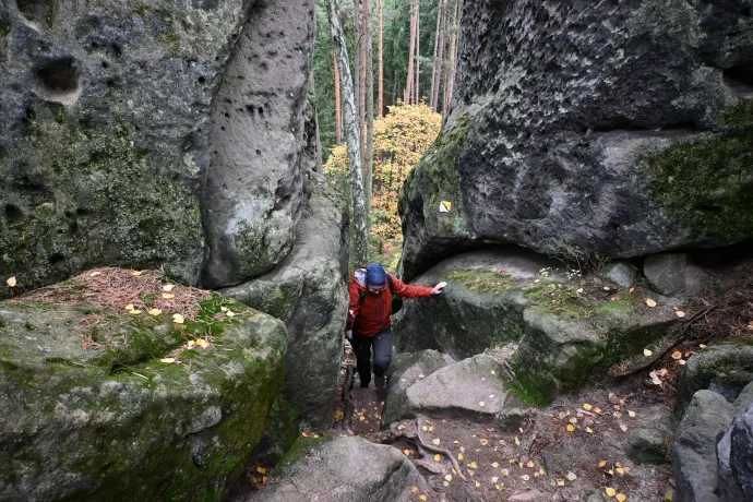 A startlépcső, a Gorilla, szűkület és tág tér – Fotó: Tenczer Gábor / Telex