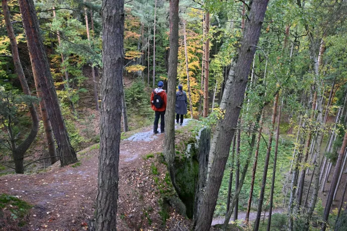 A startlépcső, a Gorilla, szűkület és tág tér – Fotó: Tenczer Gábor / Telex