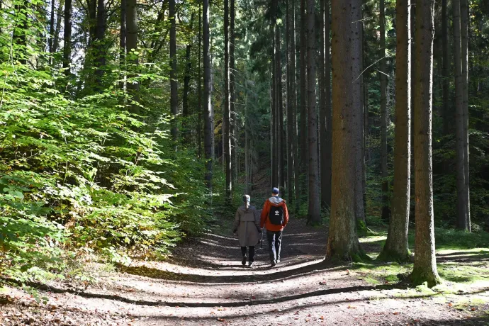Az Obraznice-barlang, erdő, kilátó és sziklaudvar – Fotó: Tenczer Gábor / Telex