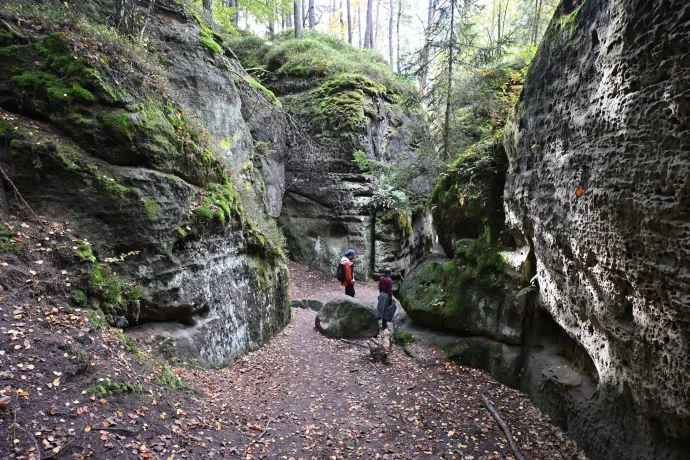 Az Obraznice-barlang, erdő, kilátó és sziklaudvar – Fotó: Tenczer Gábor / Telex