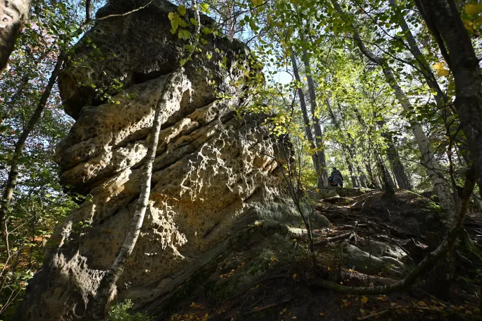 Fotó: Tenczer Gábor / Telex