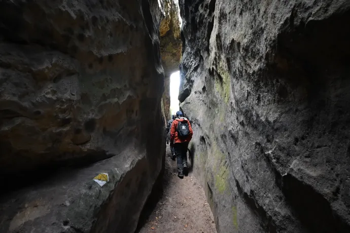 Fotó: Tenczer Gábor / Telex