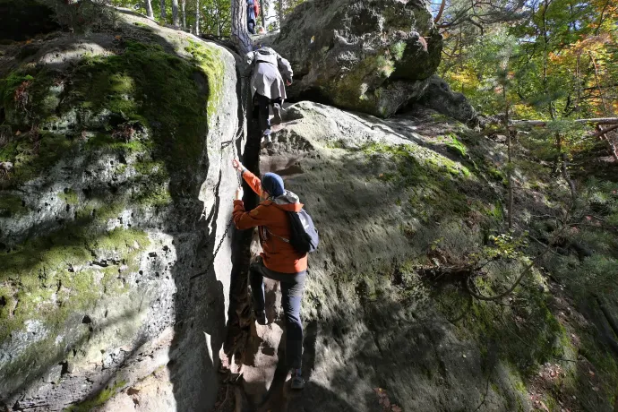 Fotó: Tenczer Gábor / Telex