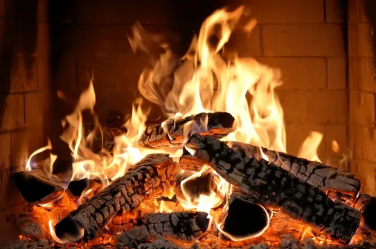 A szomszéd kihívta a tűzoltókat, de csak egy kandallós videó ment a tévében