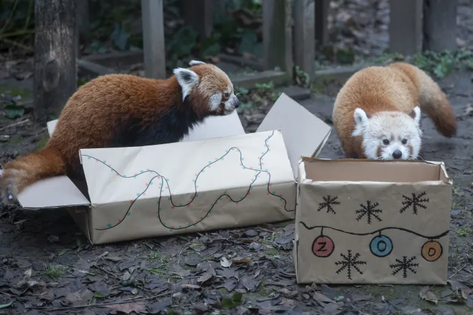 Fotó: Balogh Zoltán / MTI