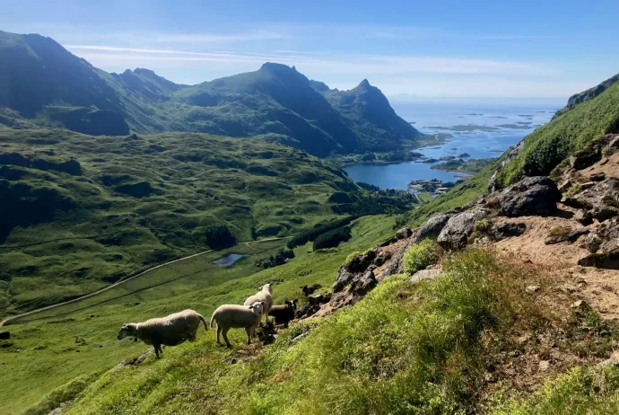 Fotó: Szládovics Levente