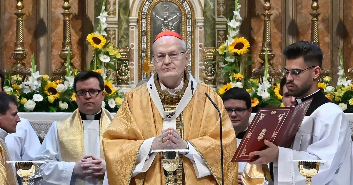 Erdő Péter bíboros: Legalább a Kisjézus jászola körül próbáljuk megérteni egymást, legyünk kedvesek egymással