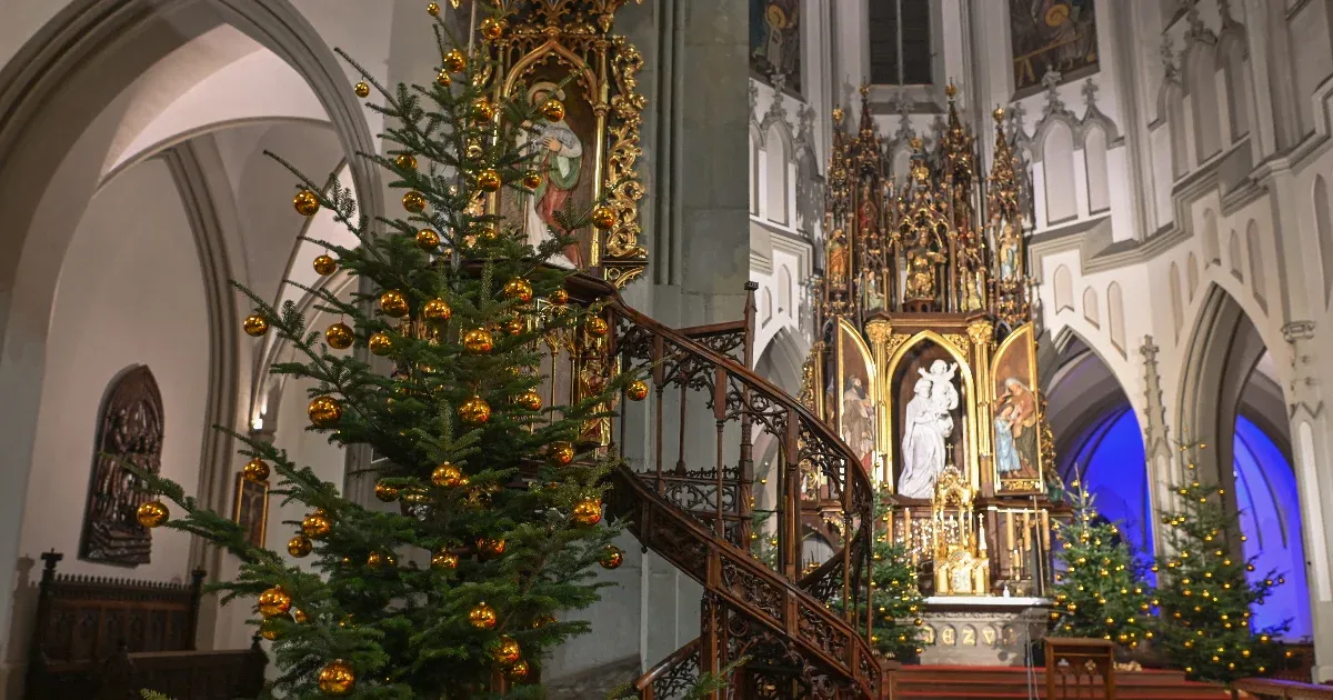 Isten nem palotában, hanem kunyhóban van jelen, és ez igaz a Szőlő utcára is