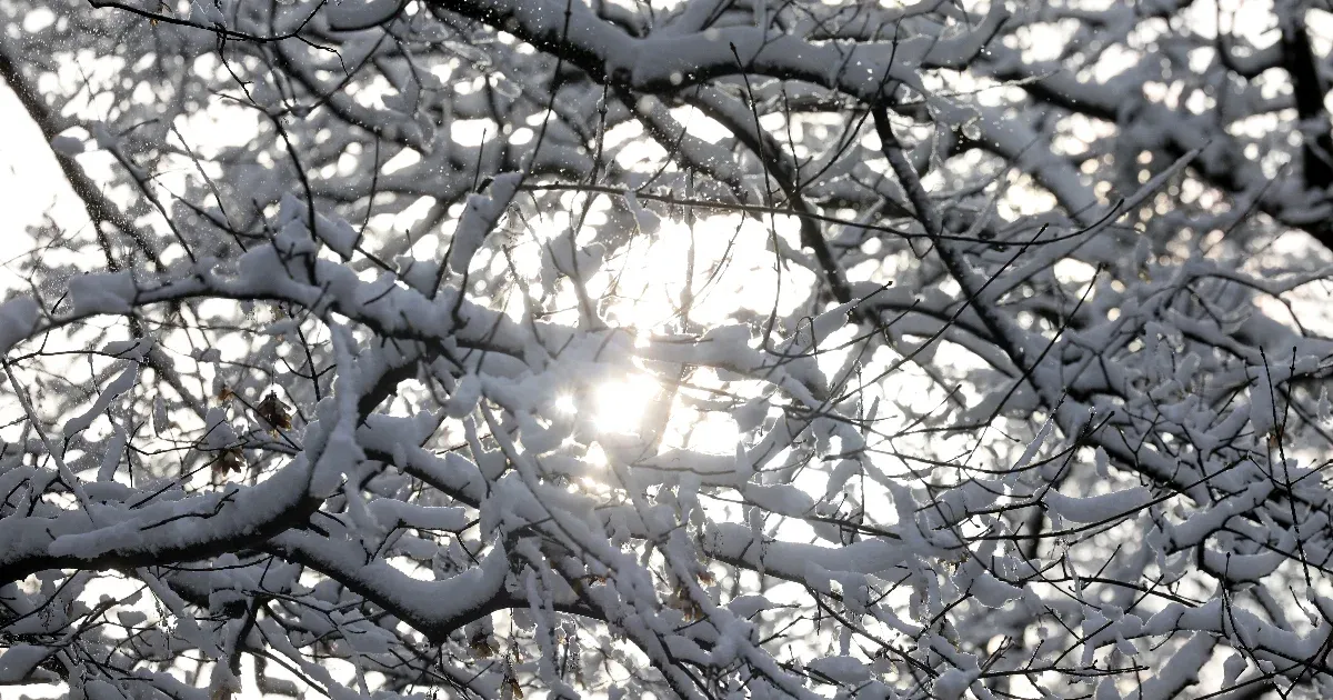 Északnyugaton havazást, délen inkább esőt hoz karácsony első napja