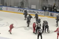 Megharapta a vonalbírót a magyar jéghokis, állítása szerint véletlenül