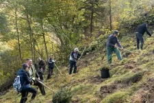 2026-ra dől el, hogy Románia képes-e teljesíteni a PNRR-ben vállalt erdősítési célokat