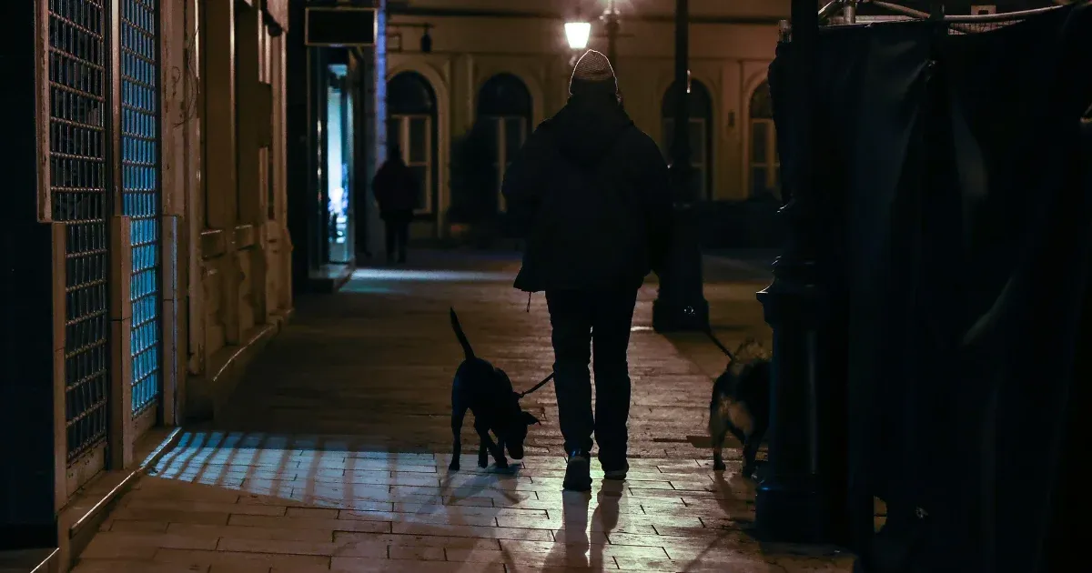 Így óvhatjuk meg a kutyát-macskát a szilveszteri durrogtatástól