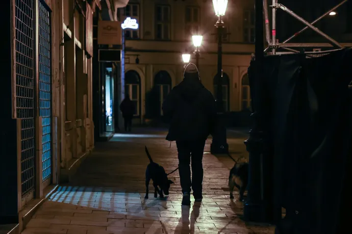 Így óvhatjuk meg a kutyát-macskát a szilveszteri durrogtatástól