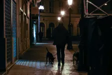 Így óvhatjuk meg a kutyát-macskát a szilveszteri durrogtatástól