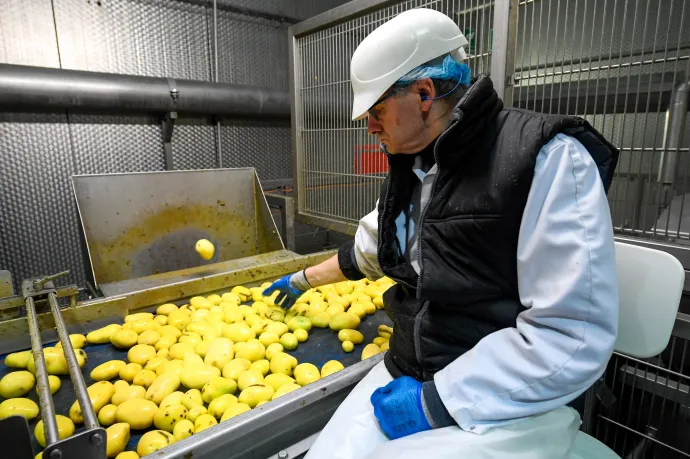 Dollármilliárdokat kerestek sültkrumpli árusításán, és most átharaphatják egymás torkát a pénzen