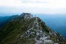 National Geographic: 2026-ban Romániában a medveles és a farkasüvöltés jelenti majd az elmélyülést a turistáknak