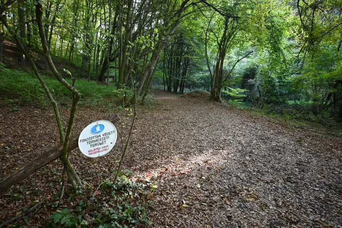 A Hidasi-völgy bejárata, a Csurgó nevű szikla és a völgy – Fotó: Tenczer Gábor / Telex