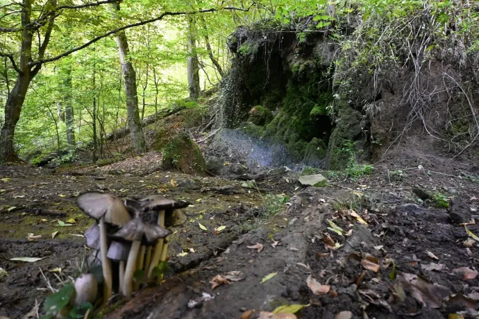 A Hidasi-völgy bejárata, a Csurgó nevű szikla és a völgy – Fotó: Tenczer Gábor / Telex