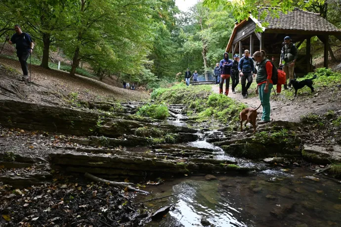 A kőzetlépcsős minicsobogók és a Ferde-vízesés – Fotó: Tenczer Gábor / Telex