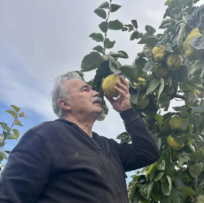 Forrás: Nagy István / Facebook