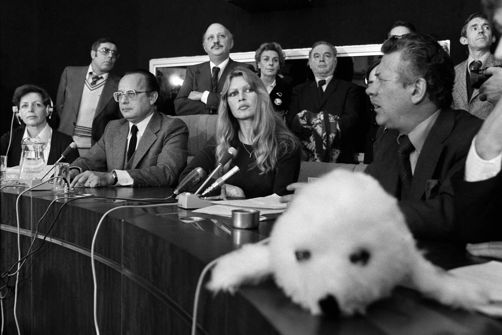 Brigitte Bardot egy fókavadászat elleni vitán az Európai Tanács ülésén Strasbourgban 1978. január 23-án – Fotó: Laurent Maous / Gamma-Rapho / Getty Images