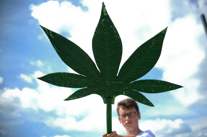 Zöld utat kapott az orvosi kannabisz Bosznia-Hercegovinában