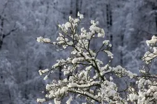Több helyen is havazhat az év utolsó napján