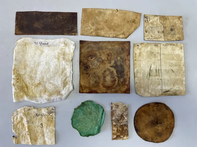 Gomba alapú műbör minták – Fotó: Fungateria