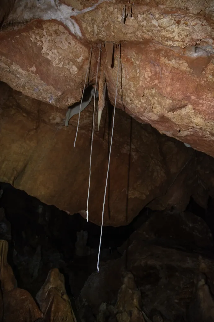 Borsókő, bordázott vagy farkasfogas cseppkő, rostos kalcit ér és hosszú szalmacseppkő – Fotó: Lieber Tamás, Szilvay Attila