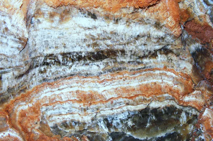 Borsókő, bordázott vagy farkasfogas cseppkő, rostos kalcit ér és hosszú szalmacseppkő – Fotó: Lieber Tamás, Szilvay Attila