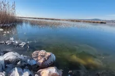 Befagyott a Velencei-tó, de sportolásra még nem alkalmas a jég