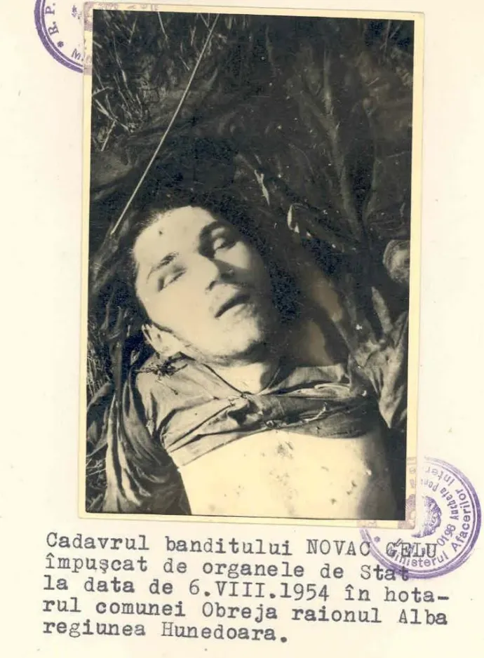 Lelőtt partizánról készült fotó a Securitate irattárában – Forrás: CNSAS