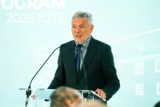 Mosonmagyaróvár polgármestere szerint minden háborús plakátot leszedettek a városban