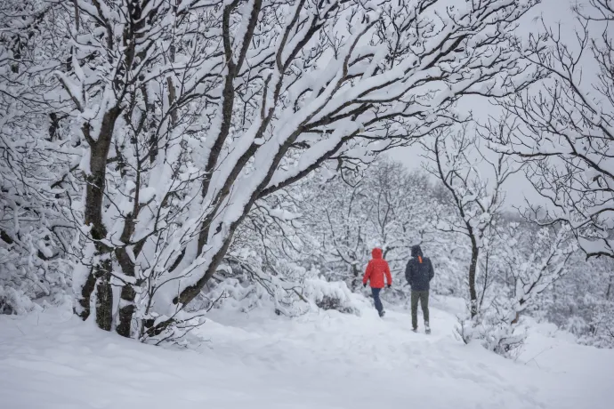 Havazás a Mecsekben hétfőn – Fotó: Ruprech Judit / MTI