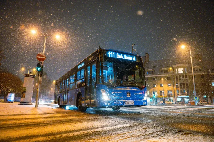 Fotó: Alföldi Dániel István / Telex