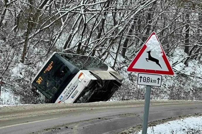 Dugólétra segítségével mentettek ki nyolc embert egy árokba csúszott buszból Vácdukán