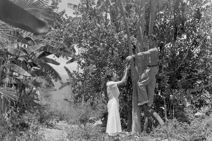 Édenkertnek indult, csúnya vége lett a harmincas évek trópusi utópiakísérletének