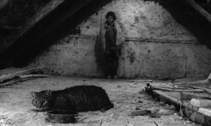 Fotó: Mozgókép Innovációs Társulás és Alapítvány / Collection ChristopheL / AFP